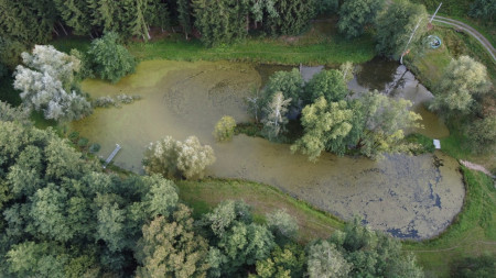 Dvojčata